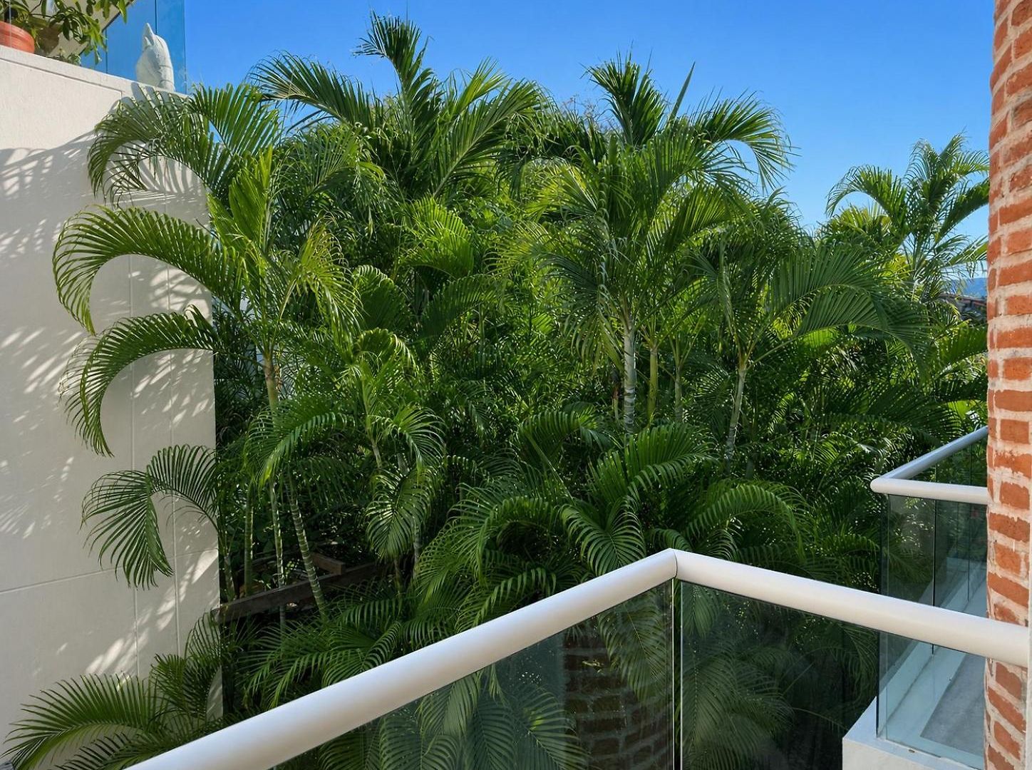 Apartamento Luxury 2br Inside Old City, Private Patio, Ac, 2 Pools & Parking *